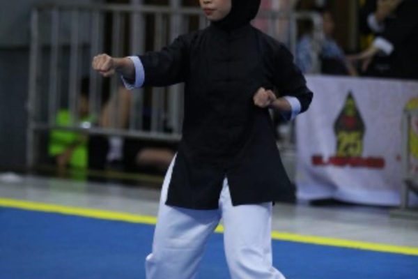 wushu3